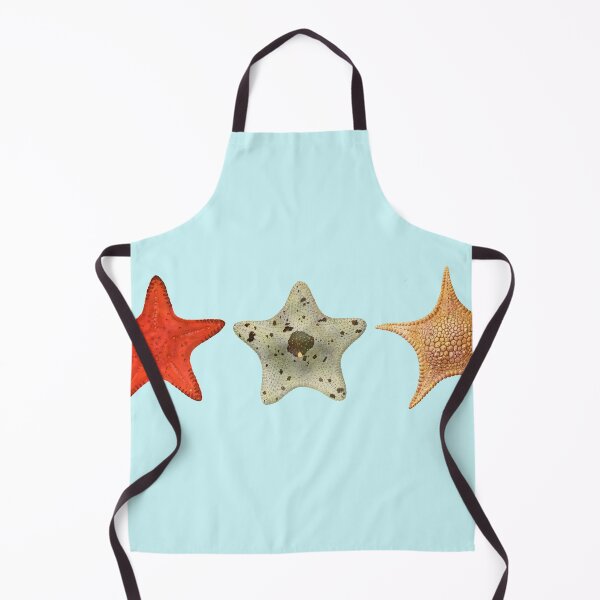 Item preview, The Epoch Collection Australian Starfish from Echinoderms from Australia 1938 baby blue designed and sold by Coastal Garden Design Studio.