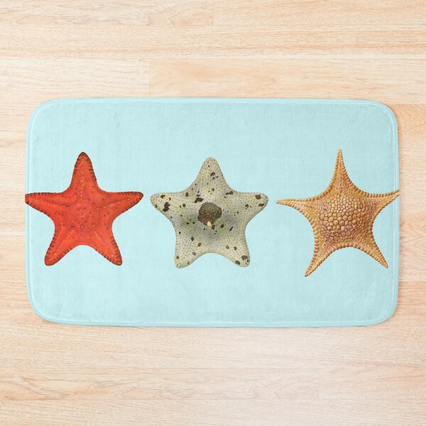 Item preview, The Epoch Collection Australian Starfish from Echinoderms from Australia 1938 baby blue designed and sold by Coastal Garden Design Studio.