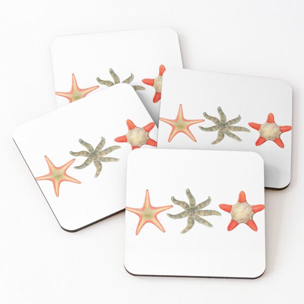 Item preview, The Epoch Collection Australian Starfish II from Echinoderms from Australia 1938 designed and sold by Coastal Garden Design Studio.