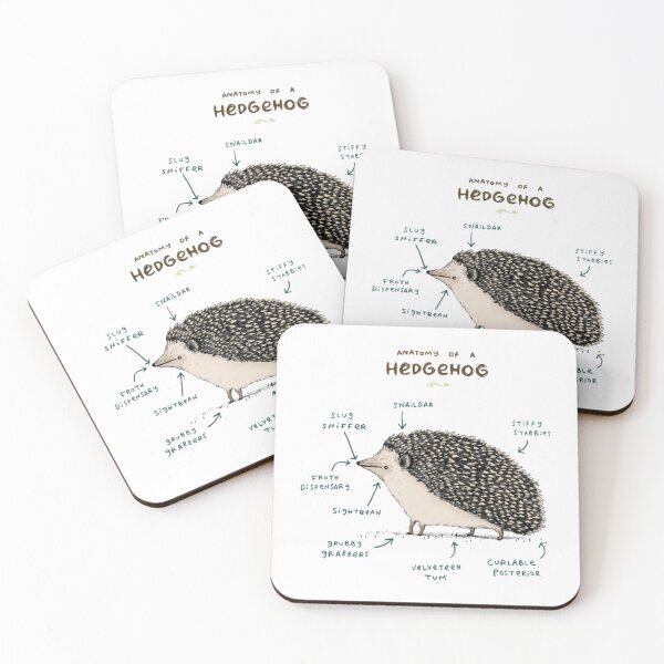 Item preview, Anatomy of a Hedgehog designed and sold by Kinalan.