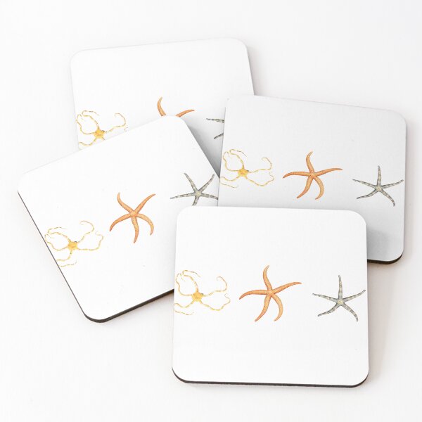 Item preview, The Epoch Collection Australian Starfish III from Echinoderms from Australia 1938 designed and sold by Coastal Garden Design Studio.