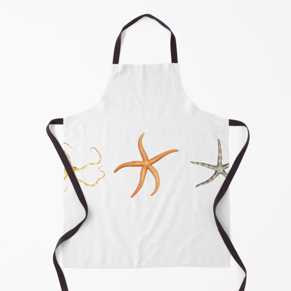 Item preview, The Epoch Collection Australian Starfish III from Echinoderms from Australia 1938 designed and sold by Coastal Garden Design Studio.
