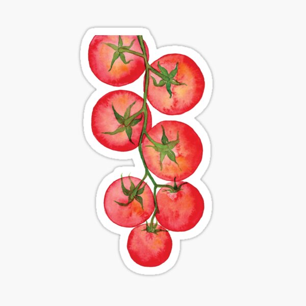 Artikel-Vorschau von Rebe reife Tomaten, designt und verkauft von Juliafrmscratch.