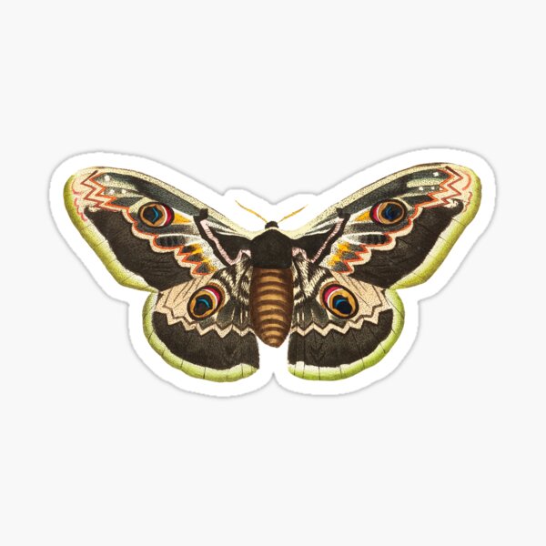 Vintage Great Peacock Moth Sticker