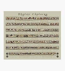 Bayeux Tapestry Full Scenes On Beige Background Photographic Print
