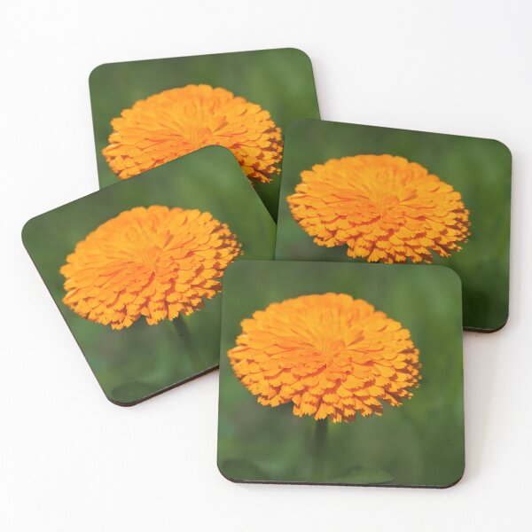Item preview, Calendula designed and sold by Dorset Girl.