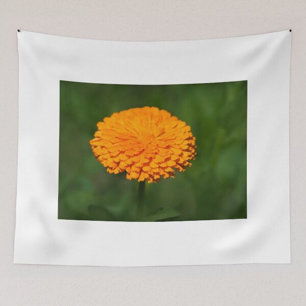 Item preview, Calendula designed and sold by Dorset Girl.