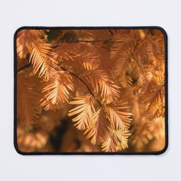 Item preview, Autumnal Tamarack Branches in Warm Orange designed and sold by Georgia Mizuleva.