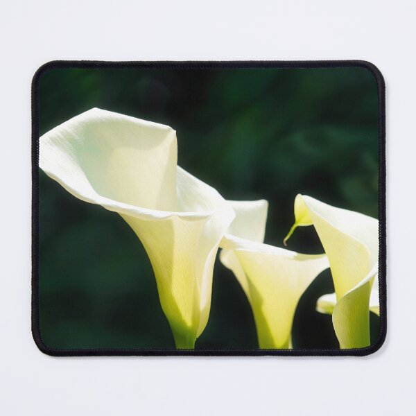 Item preview, Calla Lilies designed and sold by Dorset Girl.