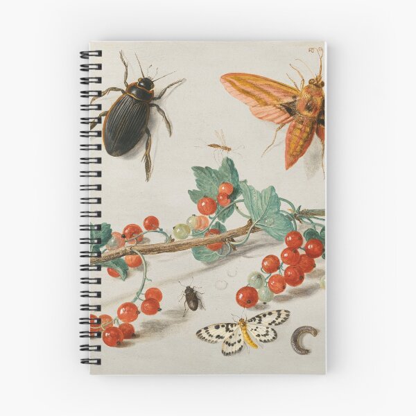 Item preview, Fruits, Butterflies and Insects (1657) - Jan van Kessel the Elder designed and sold by SALON DES ARTS.