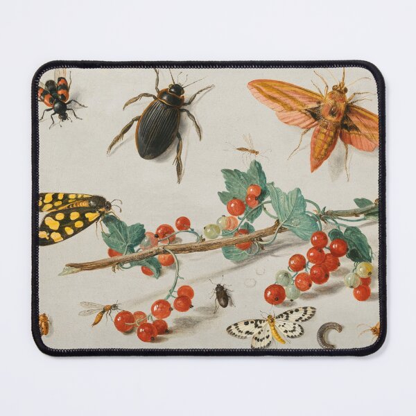 Artikelvorschau, Früchte, Schmetterlinge und Insekten (1657) – Jan van Kessel der Ältere entworfen und verkauft von SALON DES ARTS.