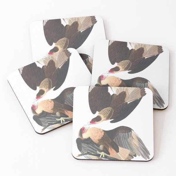 Item preview, Caracara Eagles Vintage Bird Chromolithograph by Audubon and Havell Birdwatching Gift designed and sold by ElegantTeaTime.
