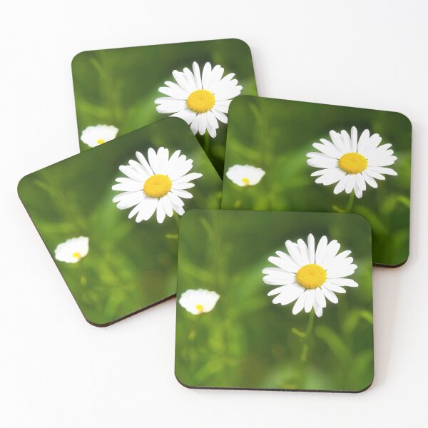 Item preview, Oxeye Daisy  Leucanthemum-vulgare designed and sold by Dorset Girl.