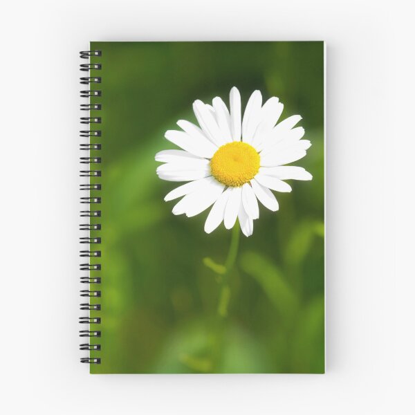 Item preview, Oxeye Daisy  Leucanthemum-vulgare designed and sold by Dorset Girl.