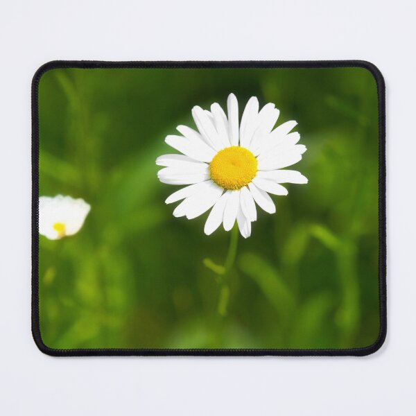 Item preview, Oxeye Daisy  Leucanthemum-vulgare designed and sold by Dorset Girl.