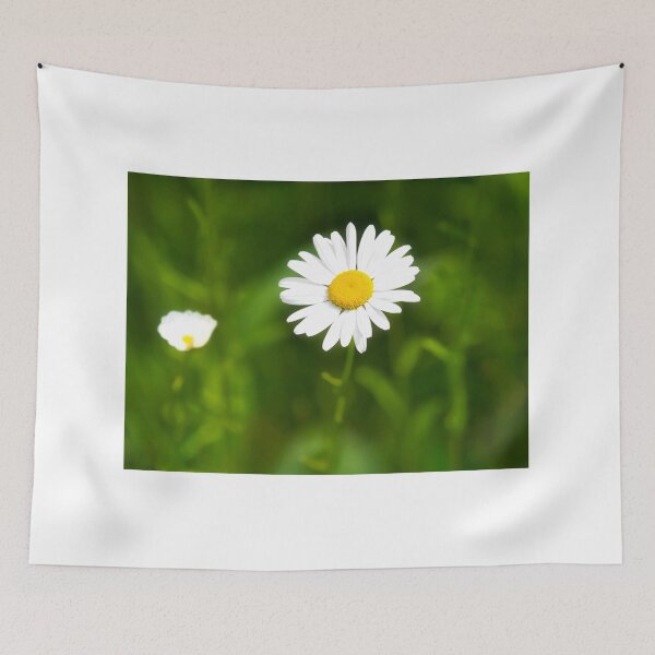 Item preview, Oxeye Daisy  Leucanthemum-vulgare designed and sold by Dorset Girl.