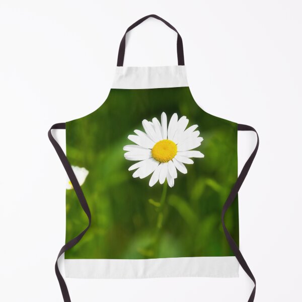 Item preview, Oxeye Daisy Leucanthemum-vulgare designed and sold by Dorset Girl.