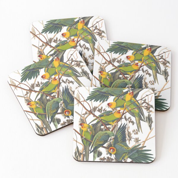 Item preview, Carolina Parrot Bird Vintage Chromolithograph by Audubon and Havell Sweet Pretty Happy Birdwatching Gift designed and sold by ElegantTeaTime.