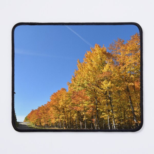 Item preview, A maple grove in the fall designed and sold by Claude Laprise.