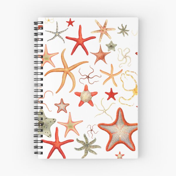 Item preview, The Epoch Collection Australian Starfish Sky from Echinoderms from Australia 1938 designed and sold by Coastal Garden Design Studio.