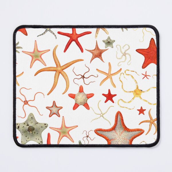 Item preview, The Epoch Collection Australian Starfish Sky from Echinoderms from Australia 1938 designed and sold by Coastal Garden Design Studio.