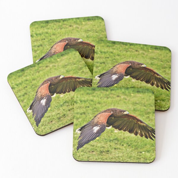 Item preview, Harris Hawk designed and sold by Richard Allen.