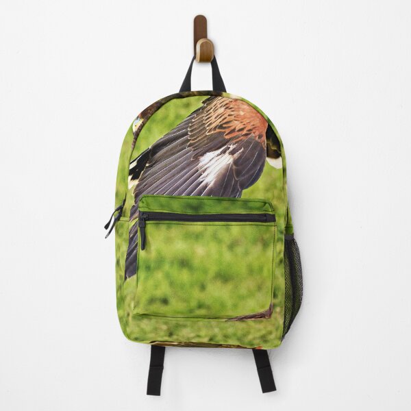 Item preview, Harris Hawk designed and sold by Richard Allen.