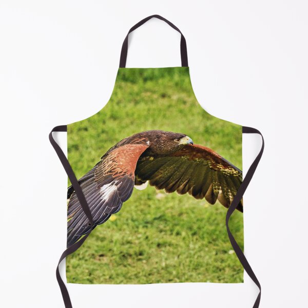 Item preview, Harris Hawk designed and sold by Richard Allen.