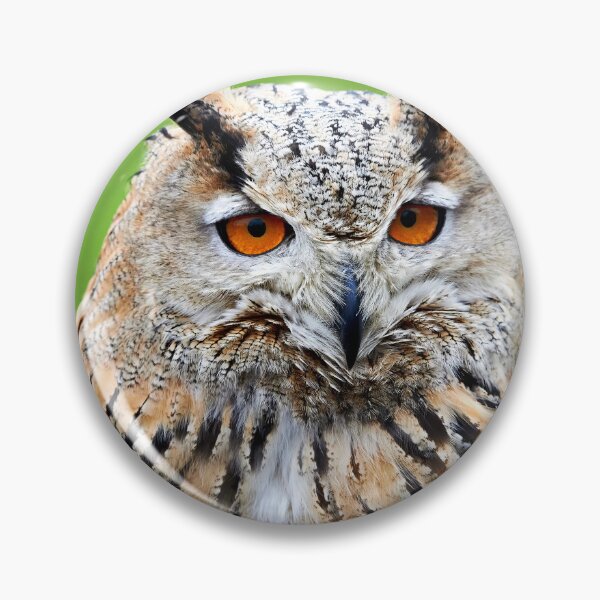 Item preview, Eurasian Eagle Owl designed and sold by Richard Allen.