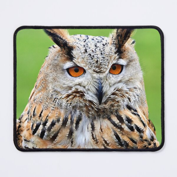 Item preview, Eurasian Eagle Owl designed and sold by Richard Allen.