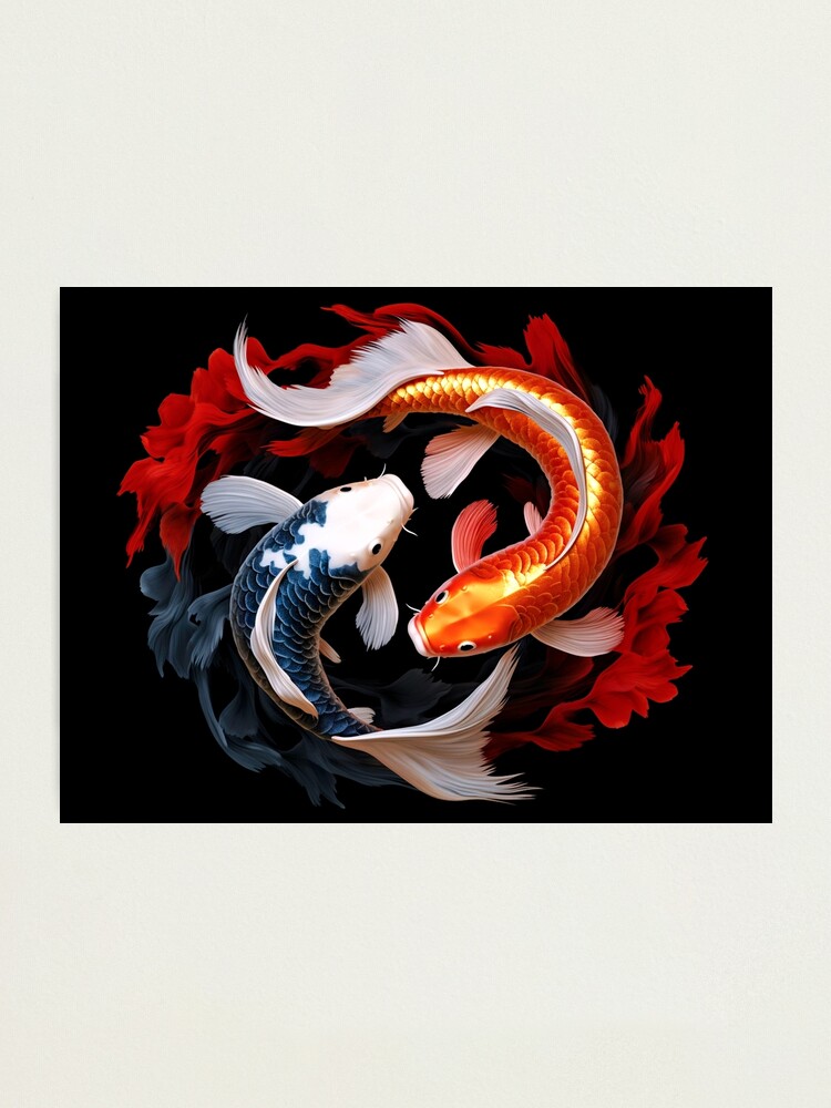 Yin yang koi fish ' Poster, picture, metal print, paint by Minimalist Anime