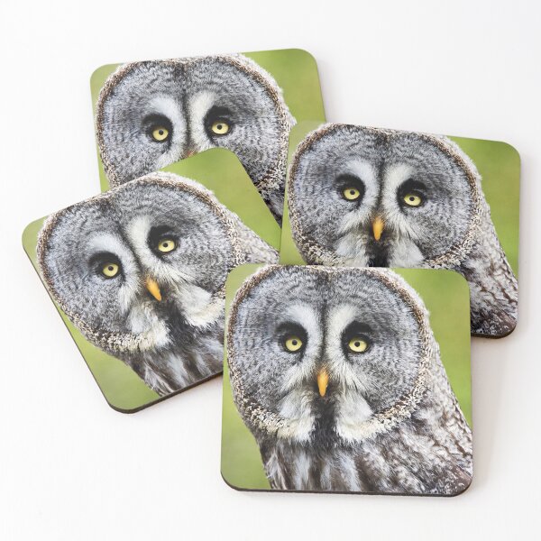 Item preview, Great Gray Owl designed and sold by Richard Allen.