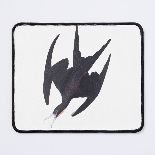 Item preview, Frigate Pelican Bird Vintage Chromolithograph by Audubon and Havell Birdwatching Gift designed and sold by ElegantTeaTime.