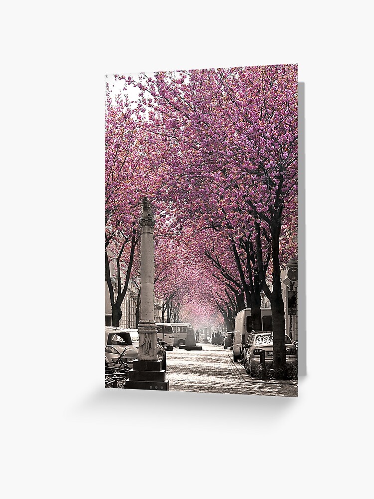 Thumbnail 1 von 2, Grußkarte, Berühmte Strasse in Bonn, Deutschland Cherry Blossoms in Spring, hochformat designt und verkauft von VictoriaBonn.