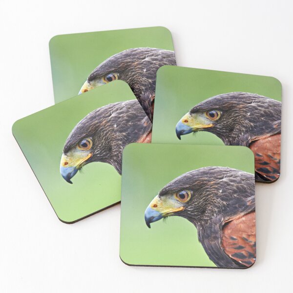 Item preview, Harris Hawk designed and sold by Richard Allen.