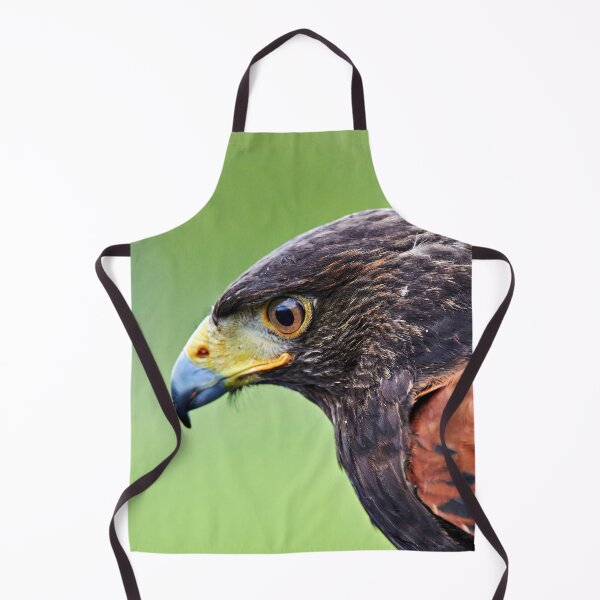 Item preview, Harris Hawk designed and sold by Richard Allen.