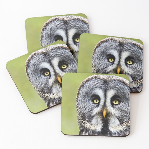 Item preview, Great Gray Owl designed and sold by Richard Allen.