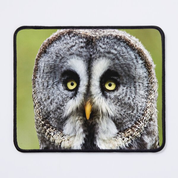 Item preview, Great Gray Owl designed and sold by Richard Allen.
