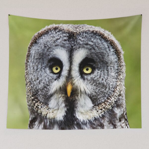 Item preview, Great Gray Owl designed and sold by Richard Allen.