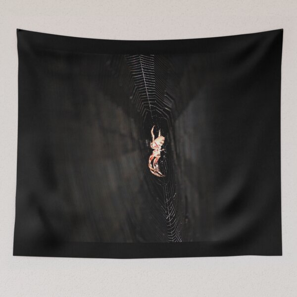 Item preview, Orb-weaver Spider weaving its web designed and sold by imaginethis.