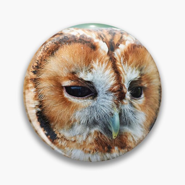 Item preview, Brown Owl designed and sold by Richard Allen.