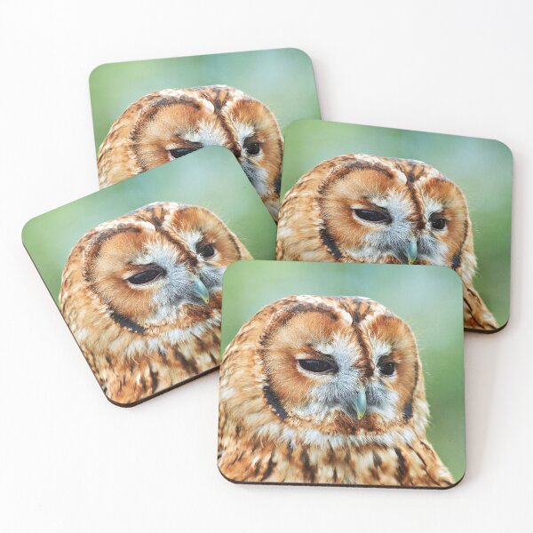 Item preview, Brown Owl designed and sold by Richard Allen.