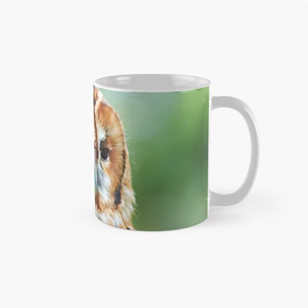 Item preview, Brown Owl designed and sold by Richard Allen.