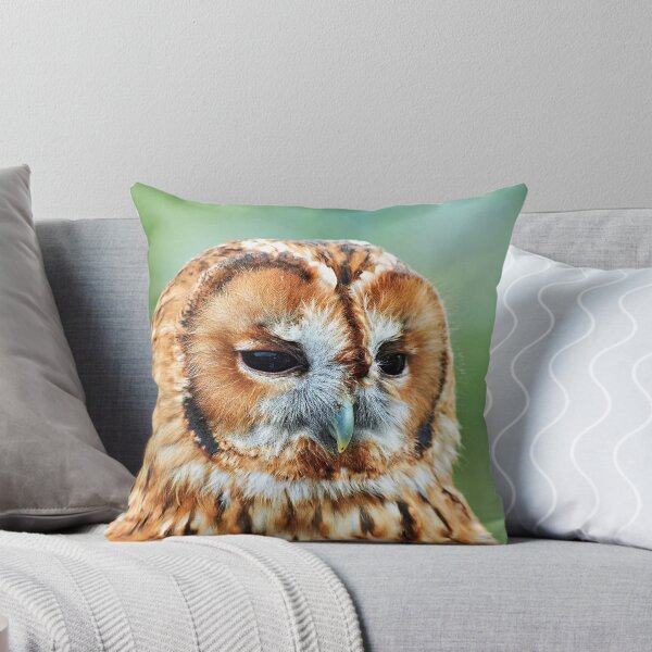 Item preview, Brown Owl designed and sold by Richard Allen.