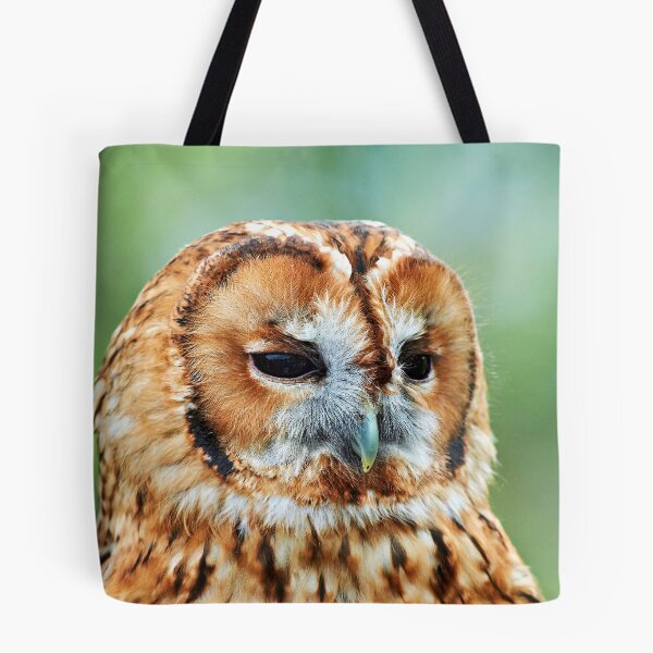 Item preview, Brown Owl designed and sold by Richard Allen.
