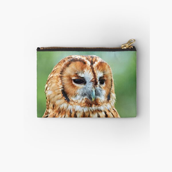 Item preview, Brown Owl designed and sold by Richard Allen.