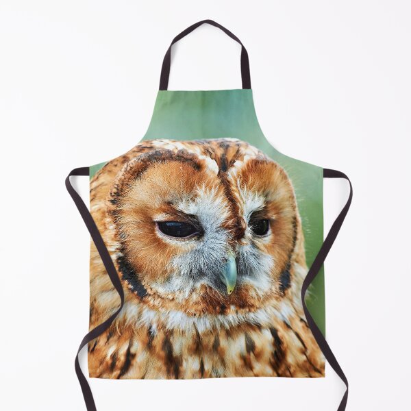 Item preview, Brown Owl designed and sold by Richard Allen.