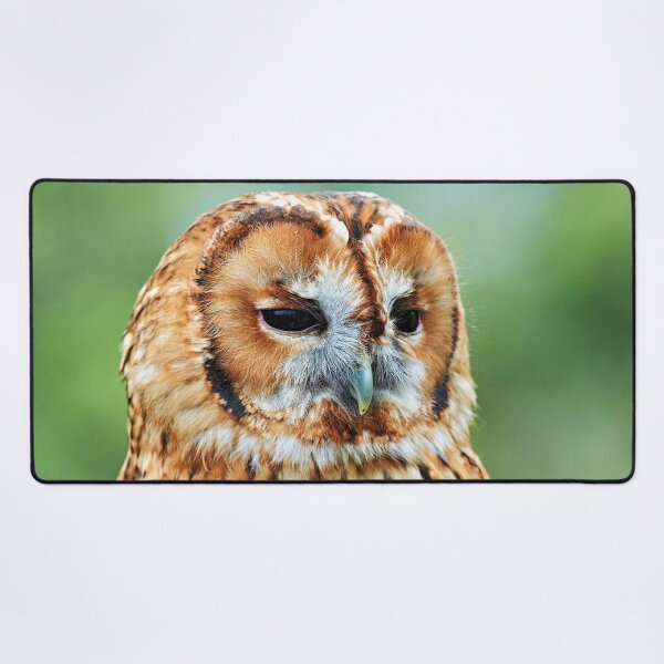 Item preview, Brown Owl designed and sold by Richard Allen.