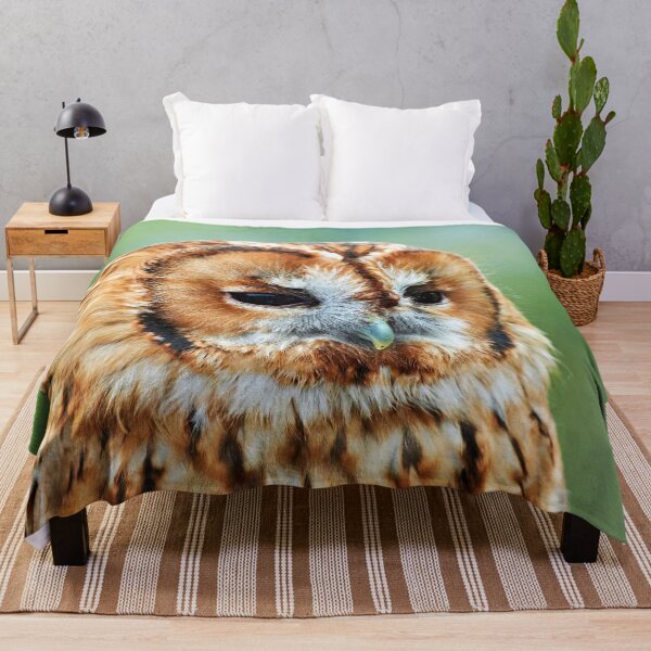 Item preview, Brown Owl designed and sold by Richard Allen.
