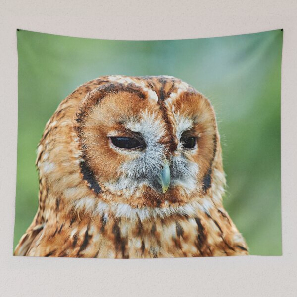 Item preview, Brown Owl designed and sold by Richard Allen.